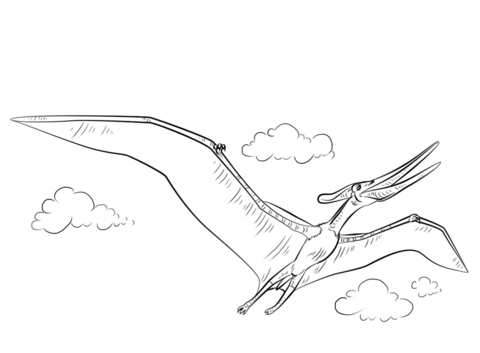 Pteranodon Flying Coloring Page